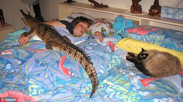 澳大利亚女子离婚只为跟宠物鳄鱼生活