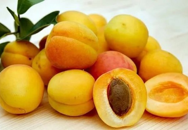减肥期间可以吃杏吗？
