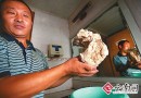 云南挖出传说中的太岁重约两公斤似人脑